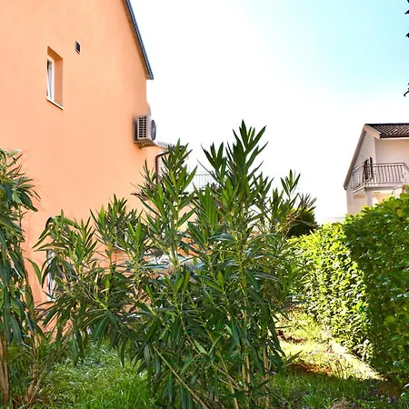 Cassiopeia Apartman Murine